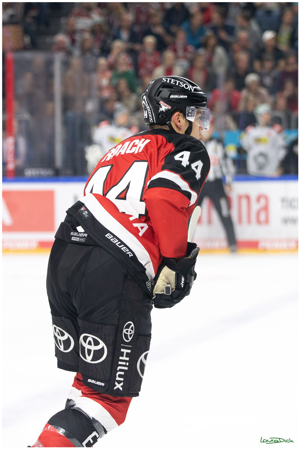 PENNY DEL;  Koelner Haie - Krefeld Pinguins; Koeln, 31.10.2021